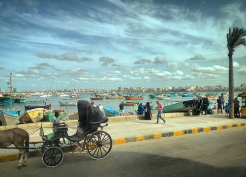 Top Rated Private Customizable Day Tour to Alexandria from Cairo