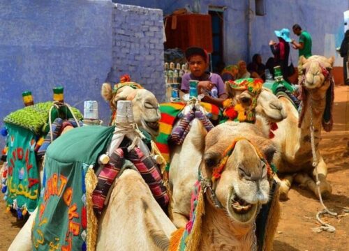 Private Day Tour to Abu Simbel Temples from Aswan