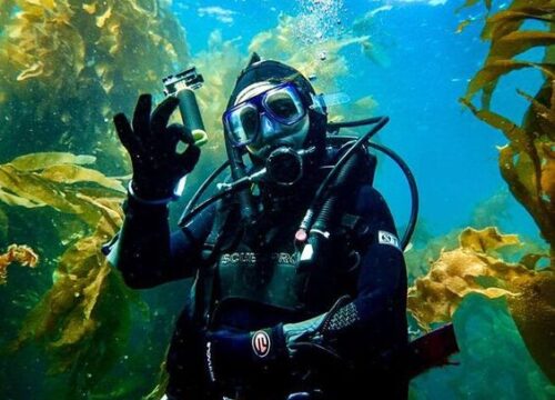 Snorkeling Trip to Ain Sokhna from Cairo