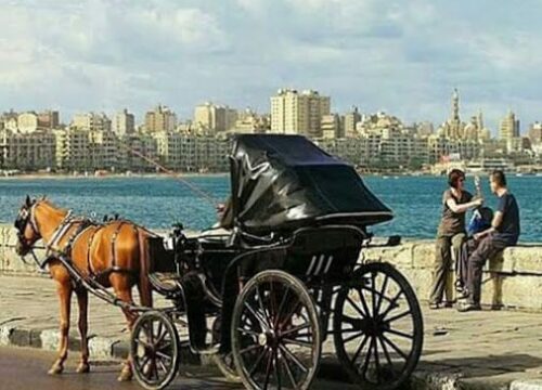 Full Day Private Tour in Museums of Alexandria City in Egypt